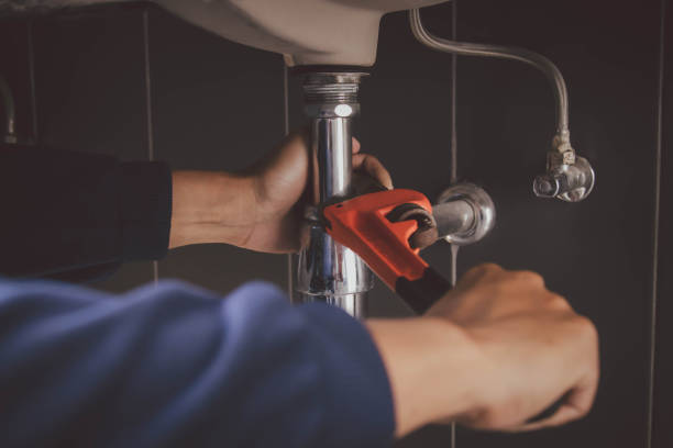 Best Clogged Drain Plumber  in Northumberland, PA